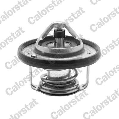 RENAULT MEGAN IV/HYUNDAI-I20-I30-BLUE 07- TERMOSTAT 212007668R VERNET