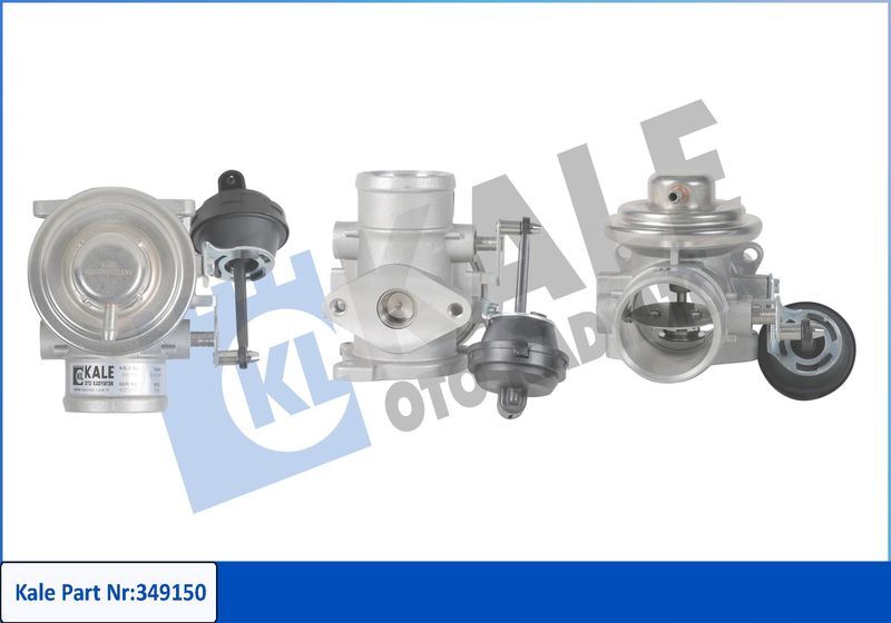 VOLKSWAGEN PASSAT-SHARAN-A4 97-04 EGR VALFI 038131501G KALE