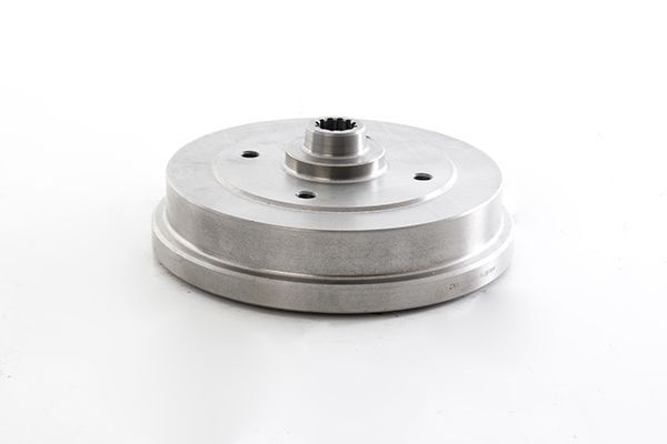 VOLKSWAGEN KAPLUMBAGA 1302-1303 61- KAMPANA ARKA 113501615J BSG