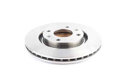 PEUGEOT 301/307/207/208/PARTNER/C-ELYSEE/CACTUS/C3 04- FREN DISKI ÖN 4249.G1 BSG 2'li Paket