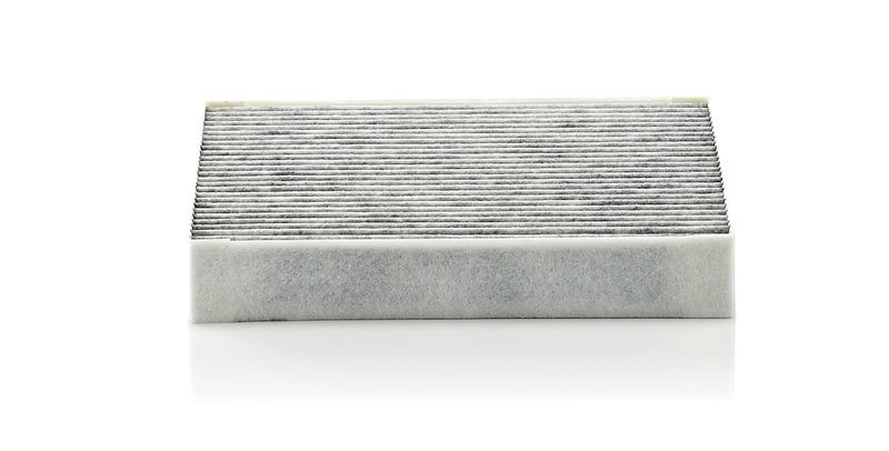 FORD JAGUAR 08- POLEN FILTRESI MF1455700380 BOSCH
