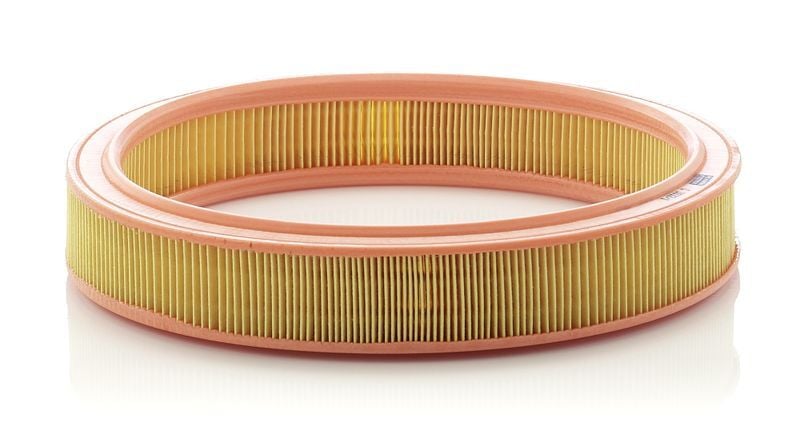 FORD ESCORT 86- HAVA FILTRESI 89BF 9601 AA MANN