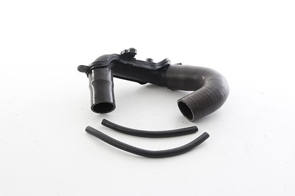 RENAULT KANGOO II/III/CLIO II/III 05- TURBO BORUSU 8200770644 BSG