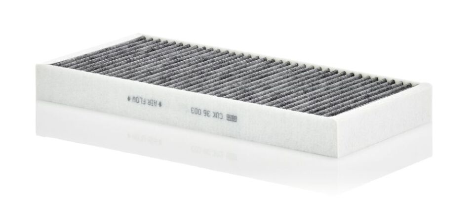 AĞIR VASITA TGL II, TGS II, TGX II 2020- POLEN FILTRESI 81619100044 MANN