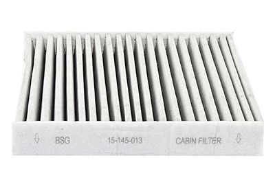 BMW F20 vb. 10-18 POLEN FILTRESI 64119237554 BSG