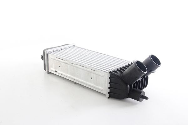 FIAT SCUDO III/EXPERT III/JUMPY III 07- TURBO RADYATÖRÜ 1498987080 BSG