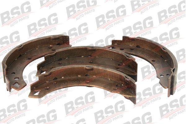 FORD ANADOL 69- FREN BALATASI ARKA BSG